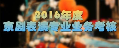 抽插骚逼国家京剧院2016年度京剧表演专业业务考...